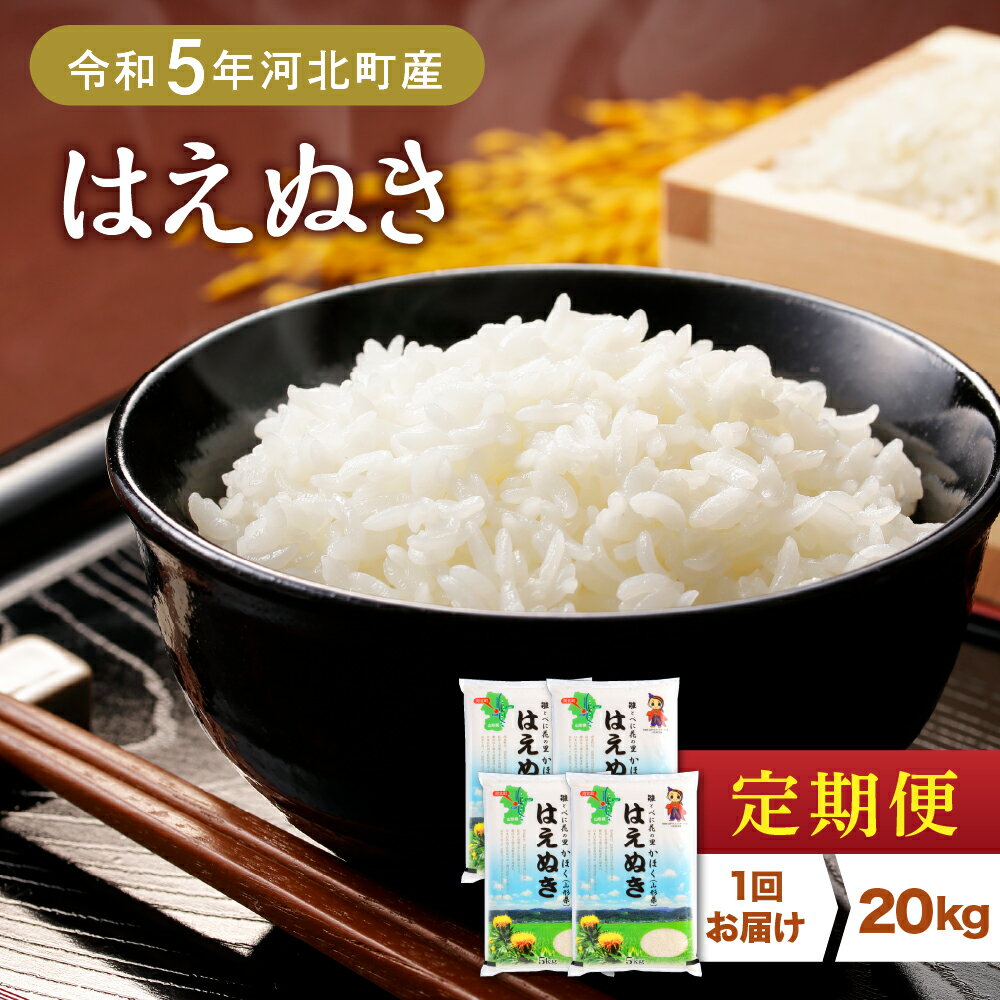 [選べる回数] はえぬき 定期便 各月 20kg 3ヶ月 6ヶ月 令和5年産 米 発送時期が選べる 3回 計30kg 6回 計60kg 山形県 河北町[JAさがえ西村山] 山形県産 ブランド米 精米 こめ コメ ごはん 白米 弁当 おにぎり 食品 国産 国産米