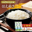  はえぬき 定期便 各月 20kg 3ヶ月 6ヶ月 令和5年産 米 発送時期が選べる 3回 計30kg 6回 計60kg 山形県 河北町 山形県産 ブランド米 精米 こめ コメ ごはん 白米 弁当 おにぎり 食品 国産 国産米