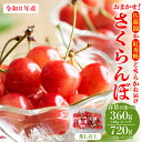 【ふるさと納税】【令和8年産】おまかせ さくらんぼ「 佐藤錦 or 紅秀峰 」(選べる: 360g / 720g ) 秀L以上 | サクランボ チェリー フルーツ 果物 2026年産 果肉 青果 贈答 プレゼント 贈り物 お取り寄せ 産地直送 冷蔵配送 送料無料 東北 山形県 河北町【JAさがえ西村山】