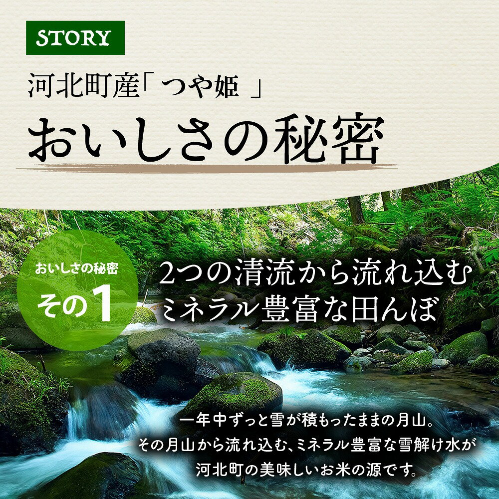 【ふるさと納税】特別栽培米 つや姫 定期便 各月 10kg 【選べる回数】3ヶ月 6ヶ月 令和5年産 米 発送時期が選べる 3回 計30kg 6回 計60kg 山形県 河北町 【JAさがえ西村山】山形県 河北町 ブランド米 精米 こめ コメ ごはん 白米 食品 国産 国産米