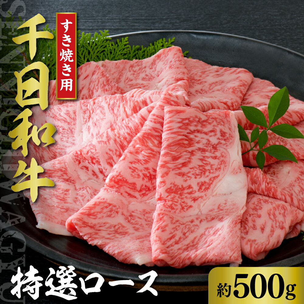 【ふるさと納税】山形牛 特選 ロース すき焼き用 約500g【黒毛和牛 ブランド和牛】牛肉 和牛 千日和牛 国産 山形県産 しゃぶしゃぶ お取り寄せ グルメ 冷凍 送料無料のサムネイル