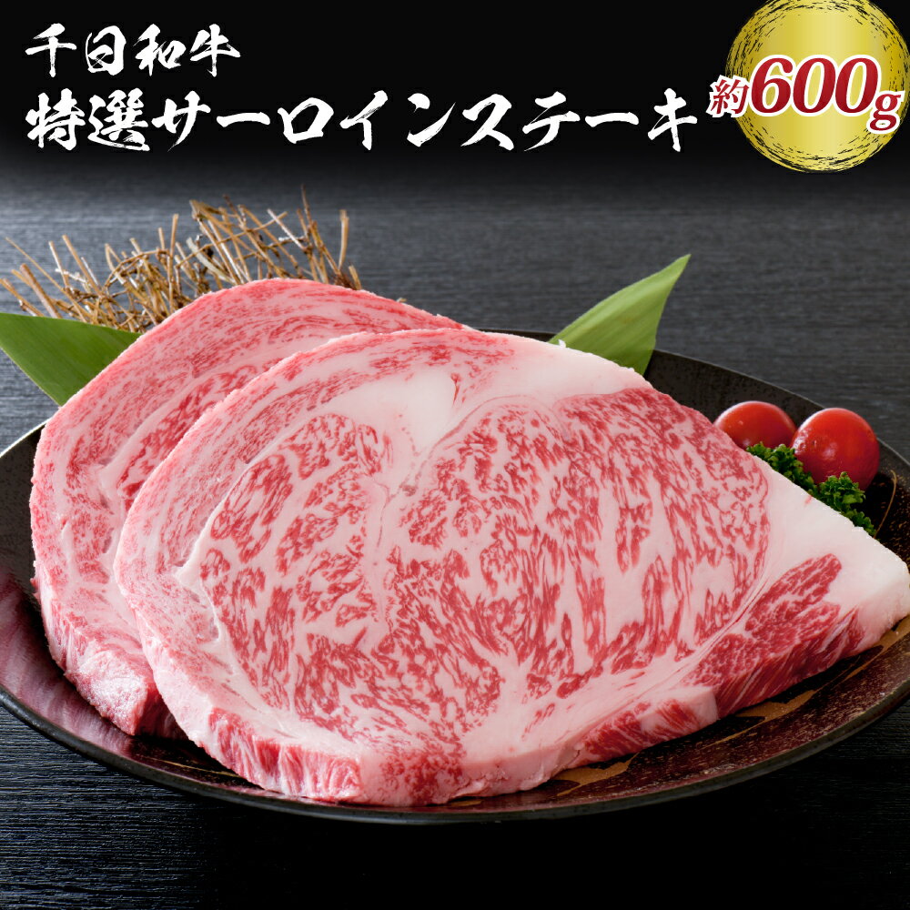 山形牛 特選 サーロイン ステーキ 約 600g [黒毛和牛 ブランド和牛]牛肉 和牛 千日和牛 国産 山形県産 サーロイン ステーキ すき焼き キャンプ アウトドア おうち時間 お取り寄せ グルメ ギフト 贈答 冷凍 送料無料 正福