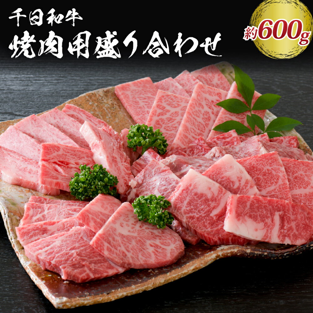 山形牛 焼肉用 盛り合わせ 約600g[黒毛和牛 ブランド和牛]牛肉 和牛 千日和牛 カルビ ロース モモ 肩 足 国産 山形県産 お取り寄せ グルメ 冷凍 送料無料