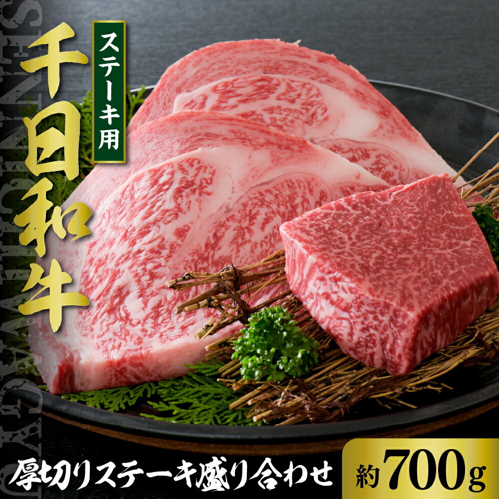 【ふるさと納税】山形牛 厚切り ステーキ 盛り合わせ 約700g【黒毛和牛 ブランド和牛】牛肉 和牛 千日和牛 ロース サーロイン モモ 国産 山形県産 お取り寄せ グルメ 食べ比べ 冷凍 送料無料のサムネイル
