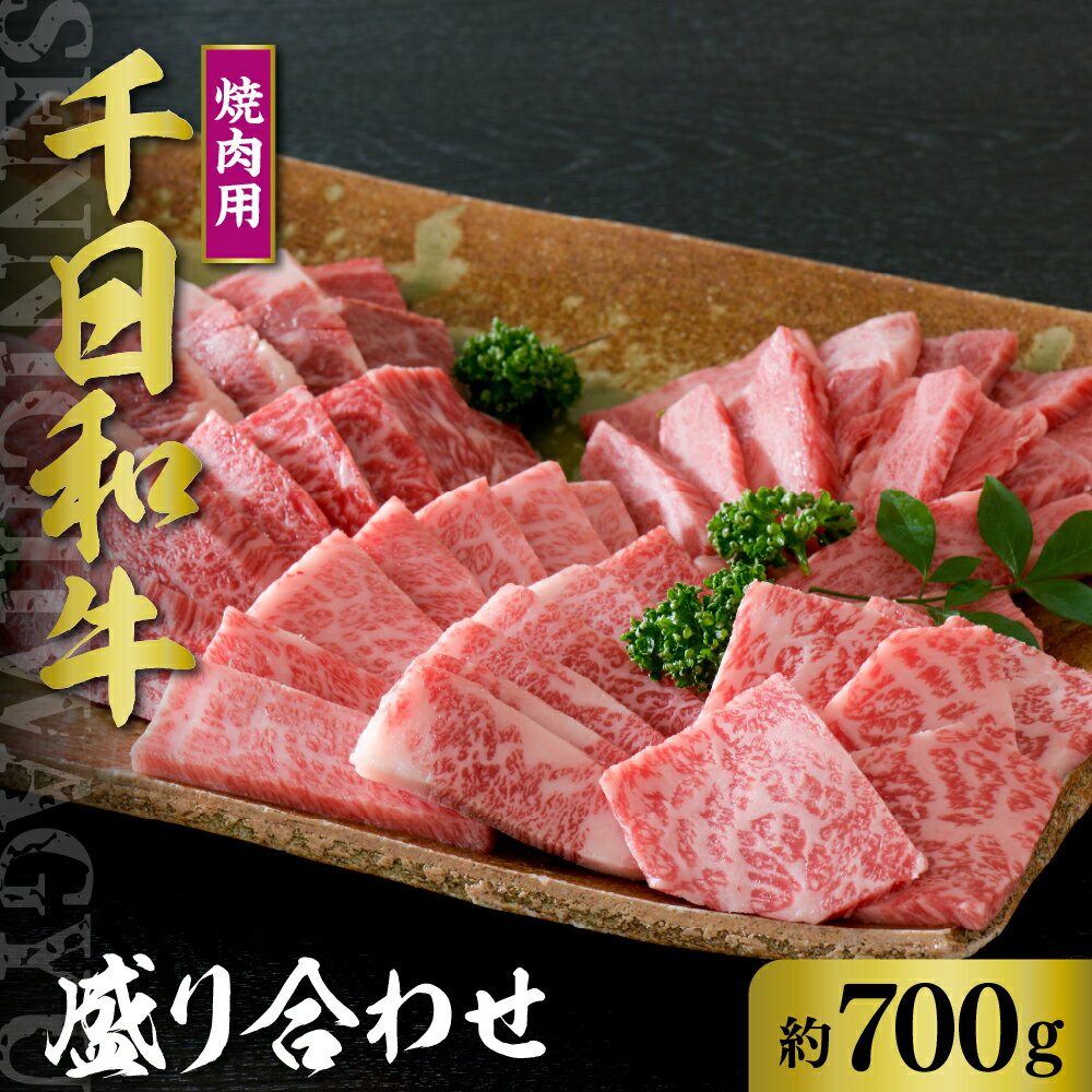 【ふるさと納税】山形牛 焼肉用 盛り合わせ 約700g【黒毛和牛 ブランド和牛】牛肉 和牛 千日和牛 カルビ ロース モモ 肩 足 国産 山形県産 お取り寄せ グルメ 食べ比べ 冷凍 送料無料のサムネイル