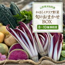 【ふるさと納税】かほくイタリア野菜 旬のおまかせBOX 選べる(約5〜8種類 / 約8〜10種類 ) 野菜の説明&おしゃれな料理が簡単に作れちゃうレシピ付き♪ ...