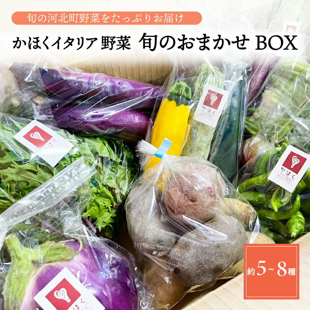 かほくイタリア野菜 旬のおまかせBOX(約5〜8種類) 野菜の説明&おしゃれな料理が簡単に作れちゃうレシピ付き♪ 山形県 河北町 野菜 イタリア野菜 イタリアン ベジタブル トレヴィーゾ フィノッキオ 詰め合わせ レシピ付き サラダ 健康 送料無料