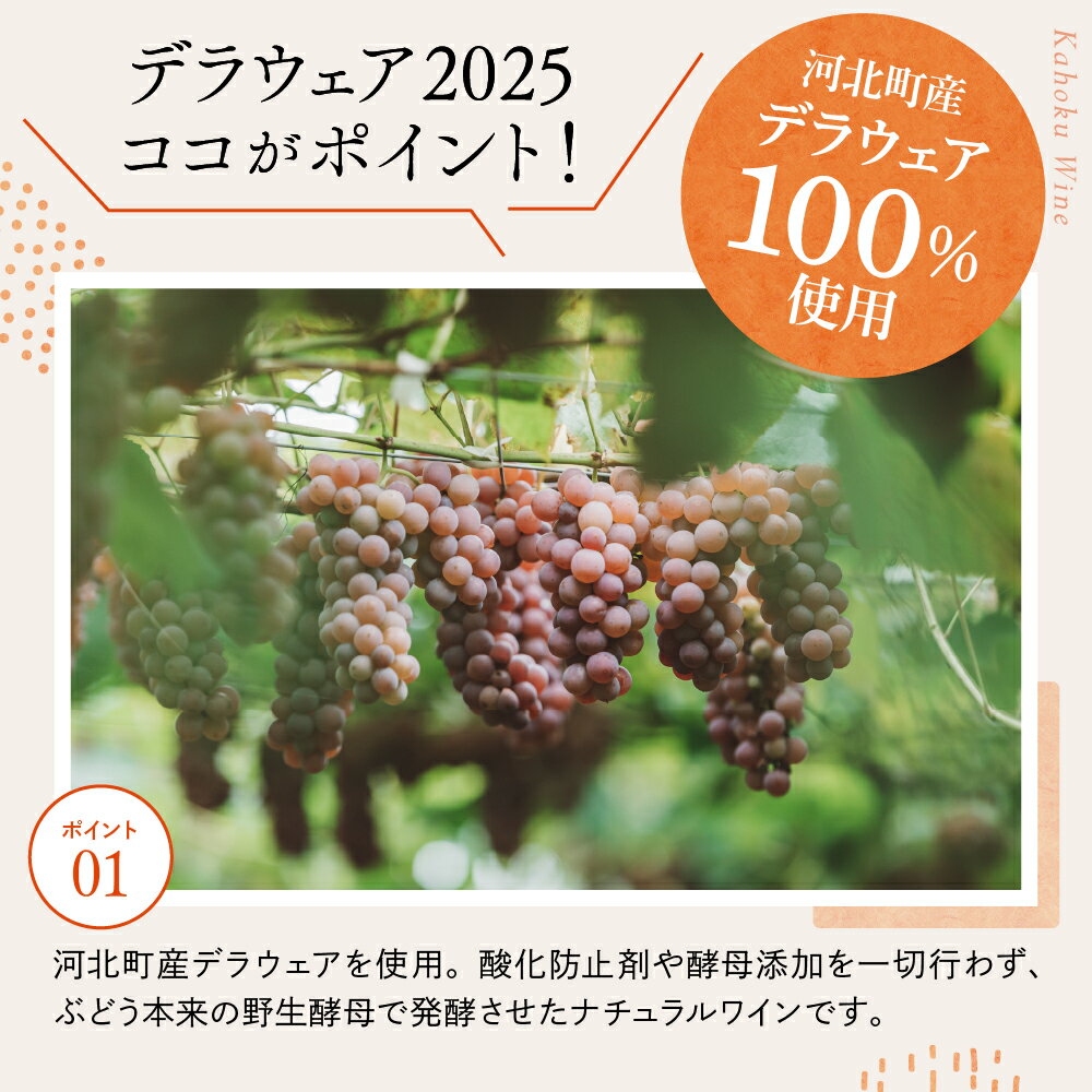 山形県河北町の画像3