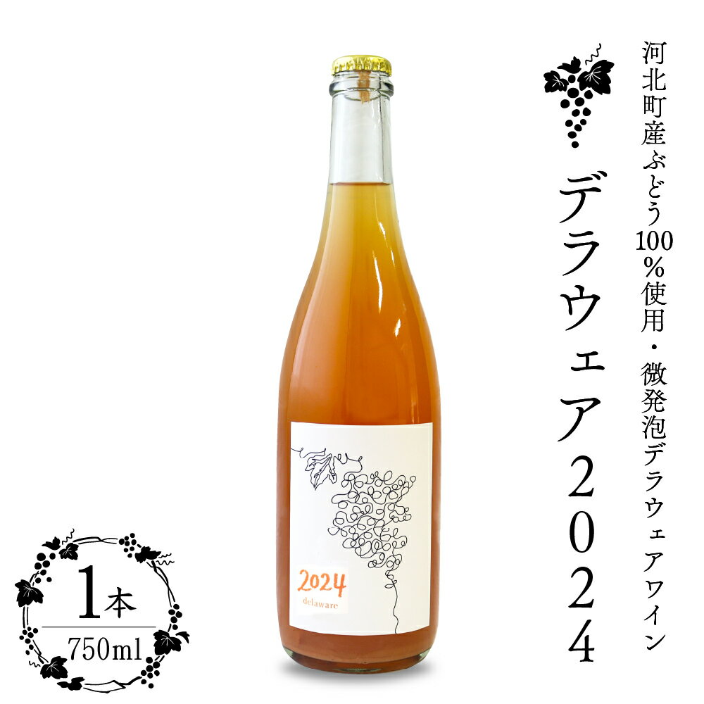 【ふるさと納税】【河北町産 ぶどう 100％ 使用・ 微発泡 デラウェアワイン】Delaware 2