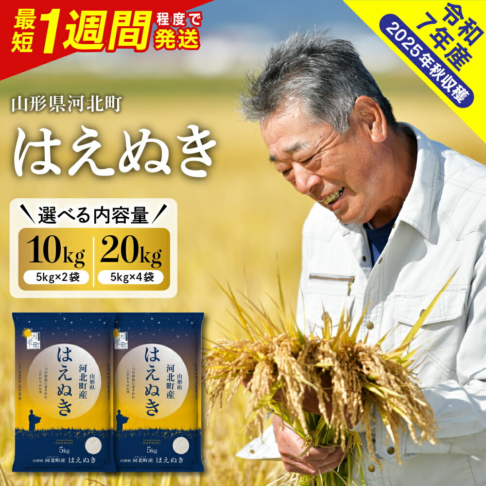 令和7年産 米 はえぬき 先行受付開始です！ 【 2025年産 新米 はえぬき 最短発送 精米 】　【ふるさと納税】【 令和7年産 新米 】 米 はえぬき 選べる 10kg / 20kg 先行予約 | 配送時期が選べる 最短発送 先行受付 10キロ 20キロ お米 白米 精米 こめ ご飯 おにぎり お取り寄せ 産地直送 国産米 送料無料 山形県産 山形県 河北町 【米COMEかほく協同組合】