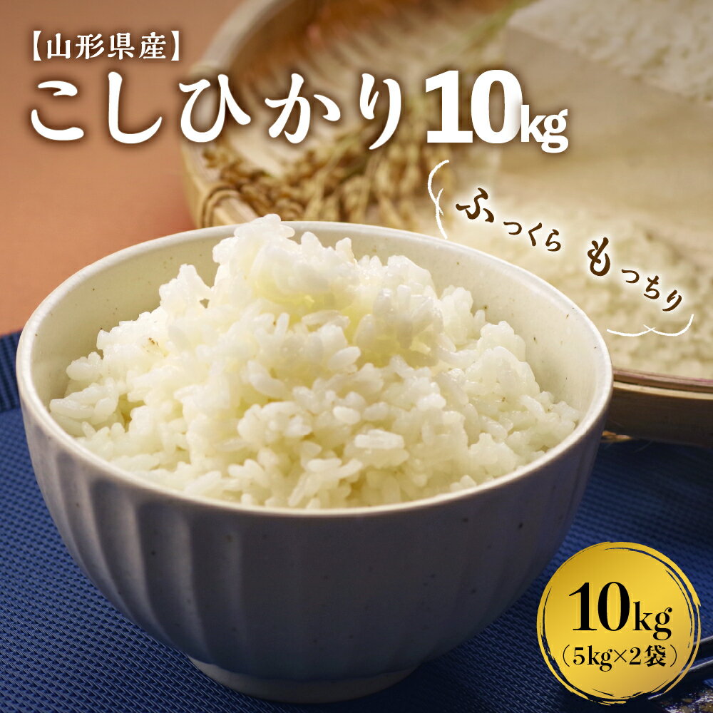 【ふるさと納税】【令和5年産米】こしひかり10kg（ 5kg×2袋 ）山形県産 発送時期が選べる【米COMEかほく協同組合】 コシヒカリ 白米 ブランド米 精米 米どころ 米 山形 2023年産 山形県 河北町 送料無料 お取り寄せ グルメ 産地直送 おすすめ 令和5年 2023年