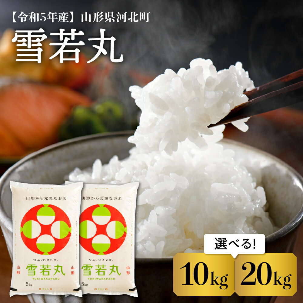 【ふるさと納税】米 令和5年 産 雪若丸 内容量 10kg 20kg と 発送時期 が 選べる 5kg 2袋 4袋お米 白米 ブランド米 精米 米どころ 山形 2023年 産 大人気 お取り寄せ グルメ 弁当 おにぎり オススメ 山形県 河北町 送料無料【米comeかほく協同組合】