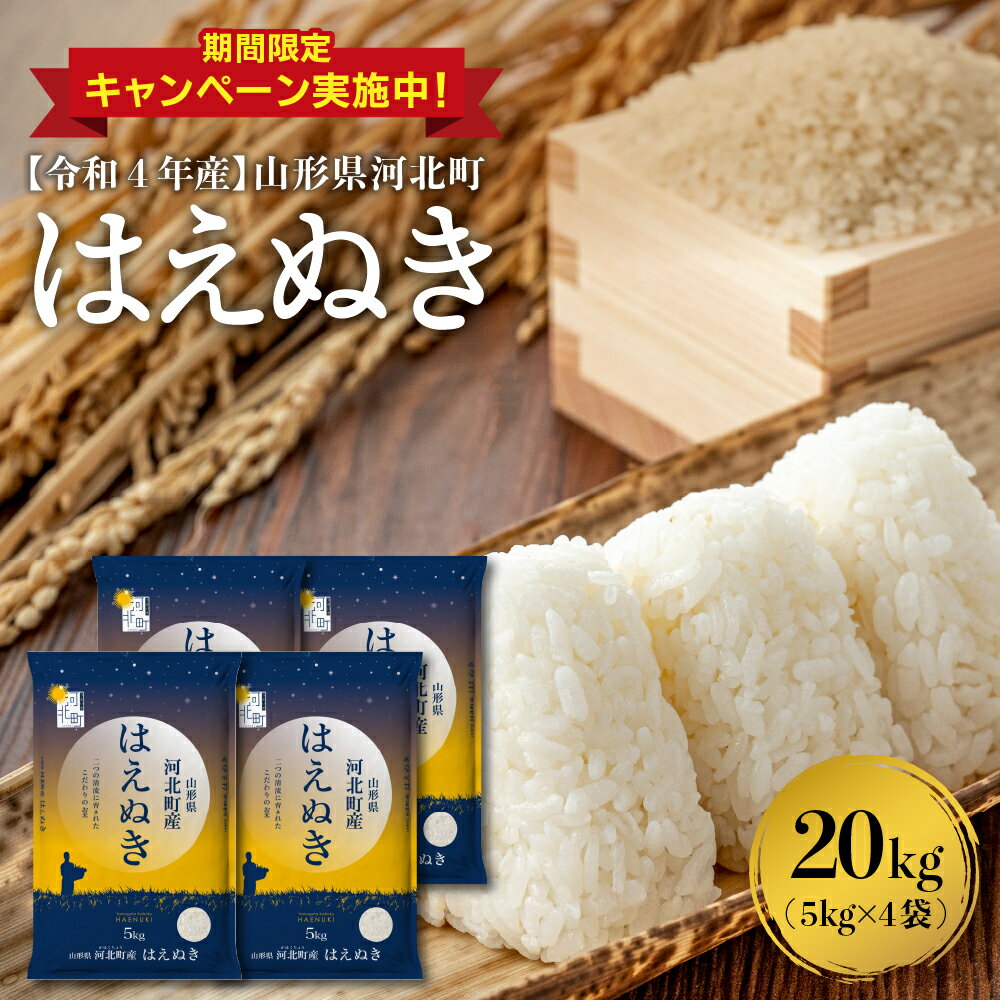 【ふるさと納税】レビュー 高評価 ★4.79 米 はえぬき 20kg 訳あり 緊急支援 令和4年産 発送時期が選べる 5kg 4袋 お米 一等米 白米 ブランド米 精米 米どころ 山形 2022年産 山形県 河北町 送料無料 大人気 お取り寄せ キャンペーン【米comeかほく協同組合】のサムネイル