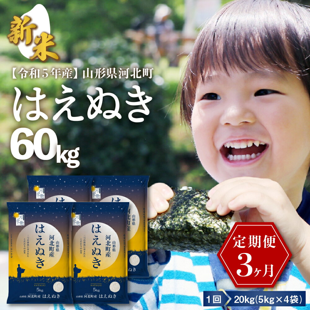 【ふるさと納税】【令和5年産】米 はえぬき 60kg ( 20kg × 3ヶ月 ) 定期便新米 発送時期が選べる 送料無料 東北 山形県 河北町 山形県産 一等米 白米 精米 お米 こめ ブランド米 ごはん ご飯 おにぎり コメ 弁当 食品 米どころ お取り寄せ【米COMEかほく協同組合】のサムネイル