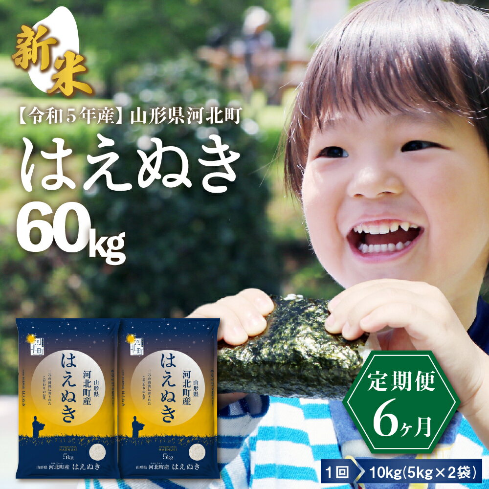 【ふるさと納税】【令和5年産】米 はえぬき 60kg ( 10kg × 6ヶ月 ) 定期便新米 発送時期が選べる 送料無料 東北 山形県 河北町 山形県産 一等米 白米 精米 お米 こめ ブランド米 ごはん ご飯 おにぎり コメ 弁当 食品 米どころ お取り寄せ【米COMEかほく協同組合】のサムネイル
