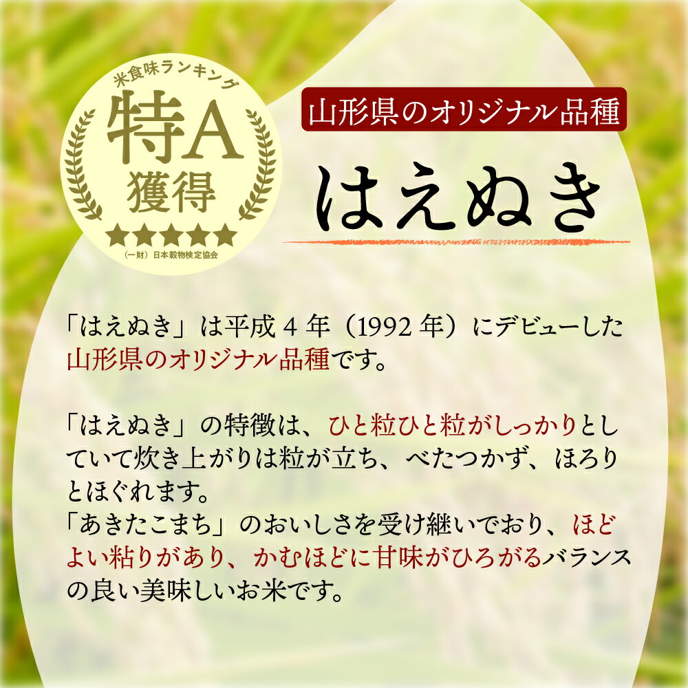 【ふるさと納税】【緊急支援】計60kg！【特A受賞】新米はえぬき定期便【選べる配送時期】20kg×3回 令和3年産 一等米 米 どころ 山形 県 河北町 産【丹野商店】隔月 お届け