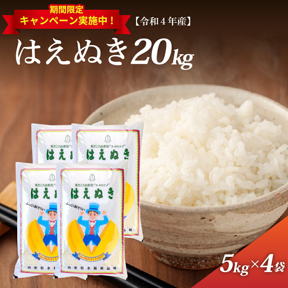 【ふるさと納税】訳あり・緊急支援【選べる配送時期】はえぬき20kg （5kg×4袋）令和4年産米 山形県産【丹野商店】山形県 産 一等米 白米 精米 こめ コメ ライス ごはん ご飯 おにぎり 弁当 食べ物 食品 2022年産 送料無料 【丹野商店】のサムネイル