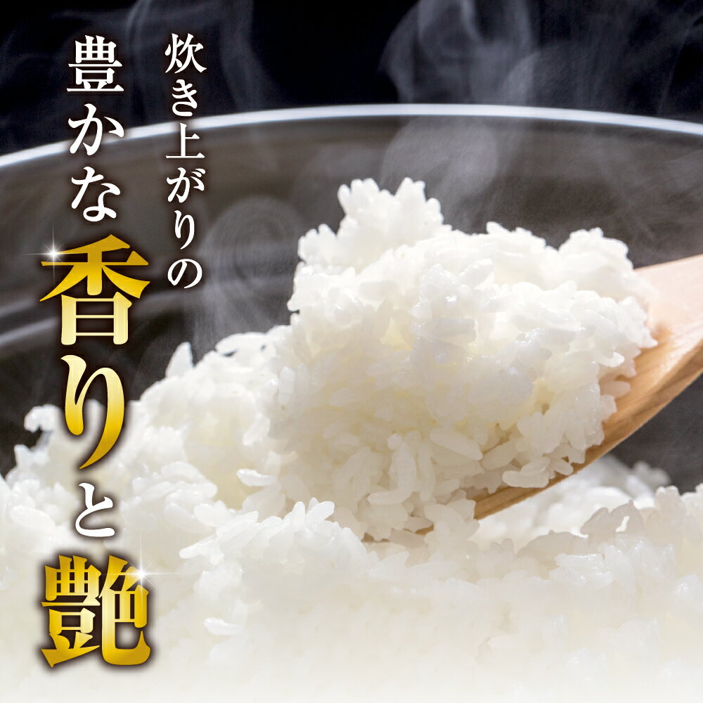 【ふるさと納税】【 令和7年産 】 コシヒカリ 10kg 20kg 山形県産 先行予約 | こしひかり発送時期が選べる 精米 白米 お米 こめ ごはん ご飯 お取り寄せ 予約 山形 産地直送 送料無料 山形県 河北町【米COMEかほく協同組合】