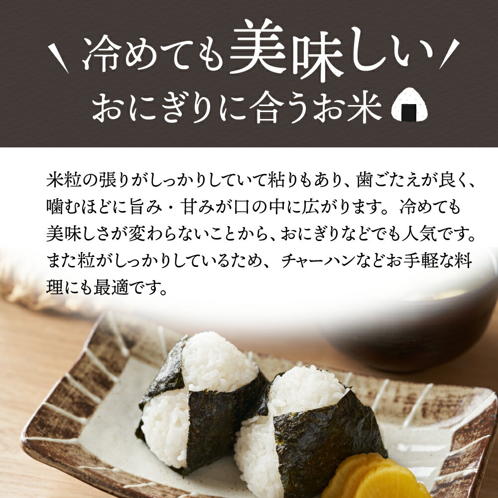 【ふるさと納税】新米 はえぬき 60kg 隔月 定期便 （20kg×3回）令和4年産 【選べる配送時期】一等米 山形県産 米 先行予約 お取り寄せグルメ 送料無料【米COMEかほく協同組合】