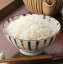 【ふるさと納税】【3年連続 特A】新米 令和3年産 一等米 雪若丸 15kg(5kg×3袋)【選べる配送時期】米どころ 山形県 河北町産 2つの清流が育む大粒の お米【丹野商店】