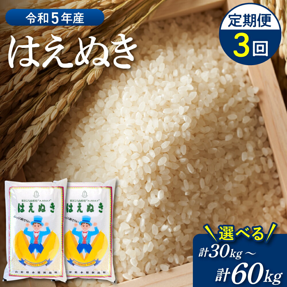 【ふるさと納税】【令和5年産】はえぬき 3か月 定期便 内容量（計30kg・計45kg・計60kg） と 発送時期が選べる 【株式会社丹野商店】お米 白米 ブランド米 精米 米どころ 山形 2023年 産 大人気 お取り寄せ グルメ 弁当 おにぎり オススメ 送料無料 山形県 河北町のサムネイル