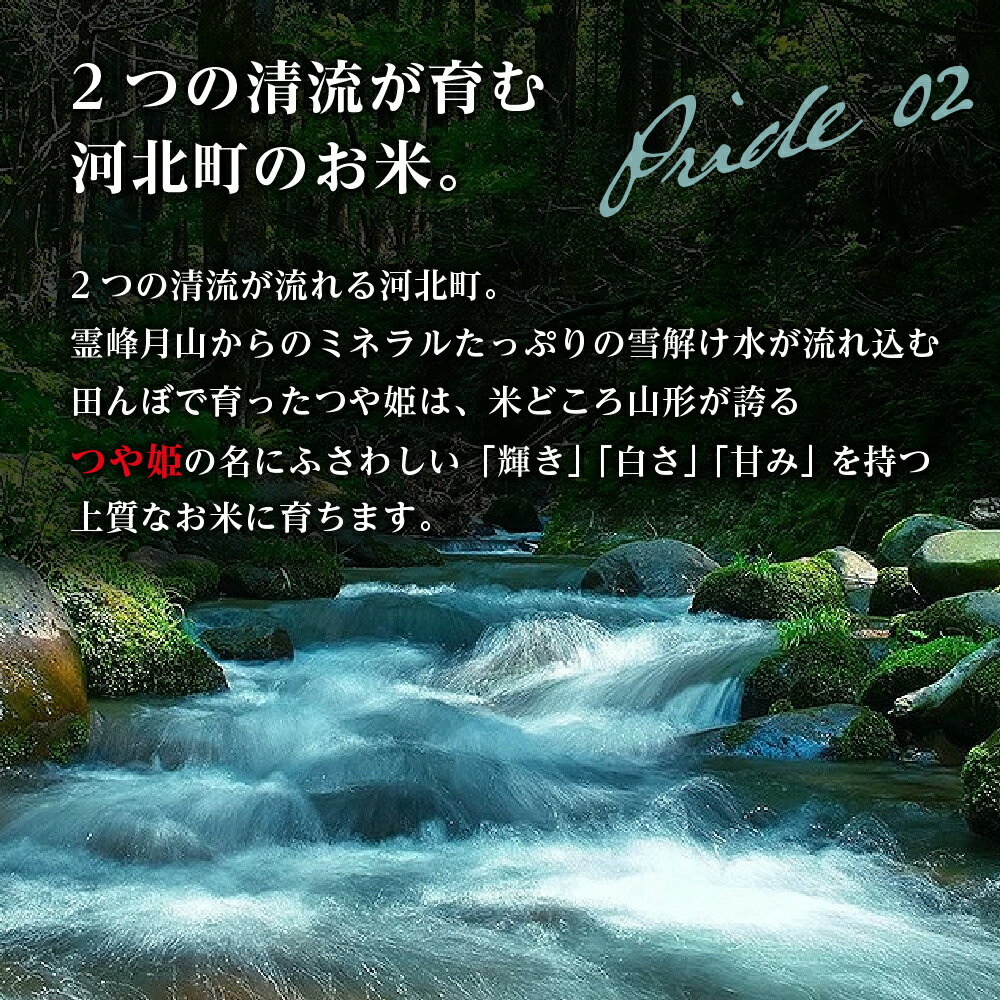 【ふるさと納税】米 玄米 令和4年産 山形県 河北町産 特別栽培米 特A 一等米 つや姫 30kg 【株式会社丹野商店】