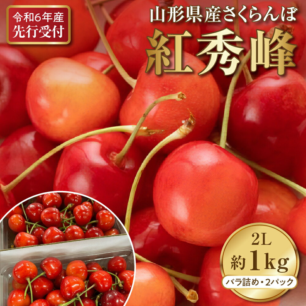 【ふるさと納税】令和6年産 さくらんぼ 紅秀峰 2L サイズ 1kg 以上 ( 500g バラ詰め × 2パック) 2024年発送 先行予約【晴天畑】山形 果物 果実 フルーツ お取り寄せ 送料無料 産地直送 山形県 河北町