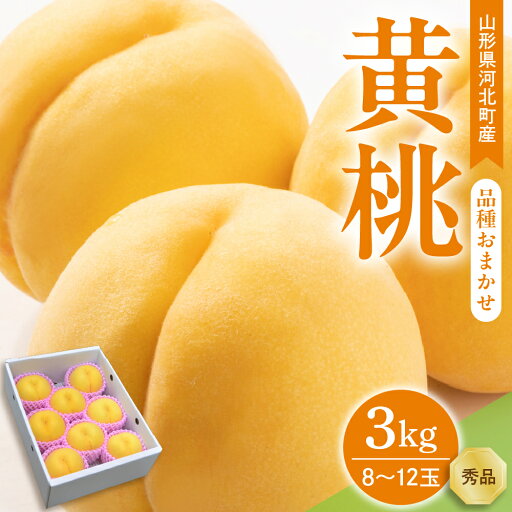 【ふるさと納税】令和7年産 黄桃 品種おまかせ 3kg (8〜12玉前後) ギフト箱入 秀品 山形県産 もも モモ ピーチ 桃 山形県 河北町 【ふるさと納税】令和7年産 黄桃 品種おまかせ 3kg (8〜12玉前後) ギフト箱入 秀品 山形県産 もも モモ ピーチ 桃 山形県 河北町