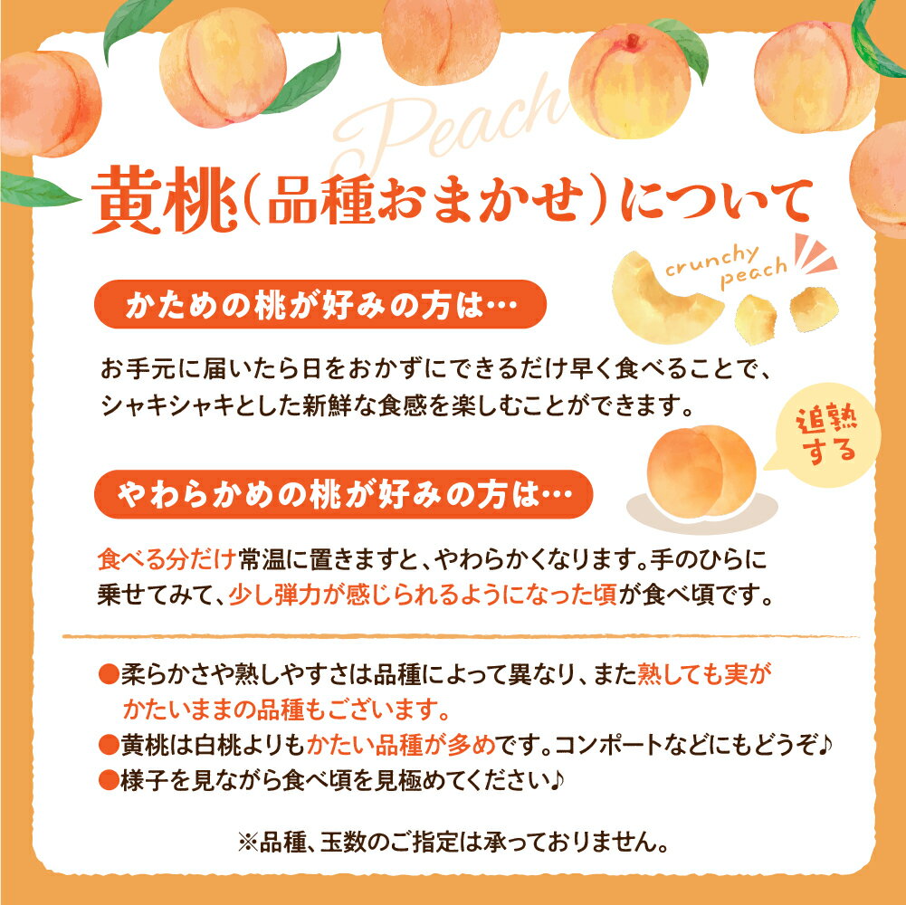 【ふるさと納税】令和7年産 黄桃 品種おまかせ 3kg (8〜12玉前後) ギフト箱入 秀品 山形県産 もも モモ ピーチ 桃 山形県 河北町