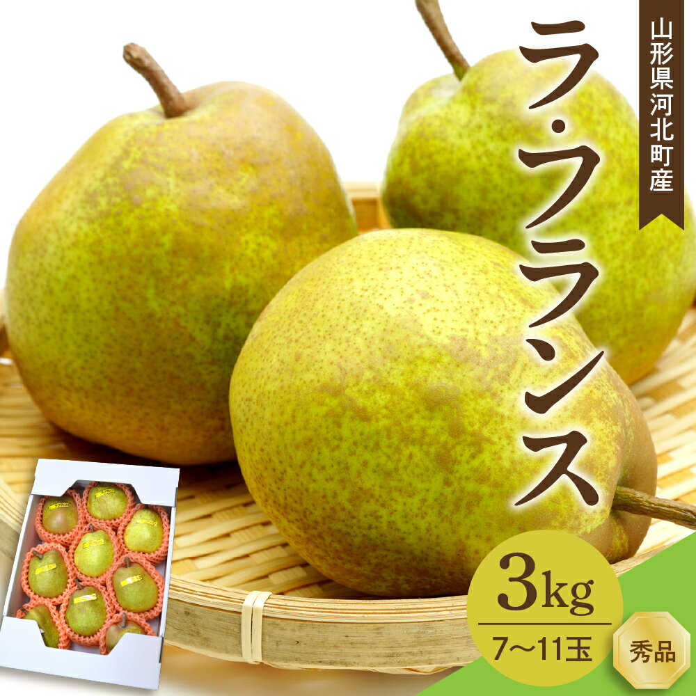 [令和7年産] 洋梨 ラフランス 3kg ( 7〜11玉前後 )/ 2025年産 ラ・フランス 西洋梨 なし フルーツ 果物 ギフト 箱入り 山形県 河北町