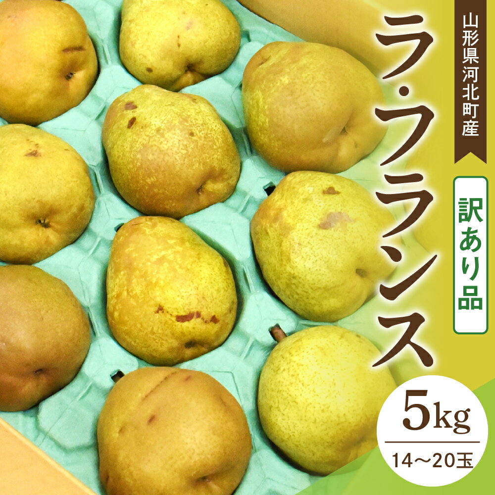 [訳あり令和7年産] 洋梨 ラフランス 5kg 山形県河北町産[山形eLab]/ ラ・フランス 洋なし 洋ナシ 西洋梨 フルーツ 果物 くだもの お取り寄せ グルメ 産地直送 山形県 河北町