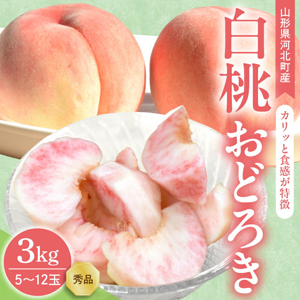 [令和7年産] 白桃 おどろき 3kg ( 5〜12玉前後 ) ギフト用 山形県河北町産 [山形eLab]/ 桃 モモ もも フルーツ 果物 くだもの お取り寄せ グルメ 産地直送 山形県 河北町