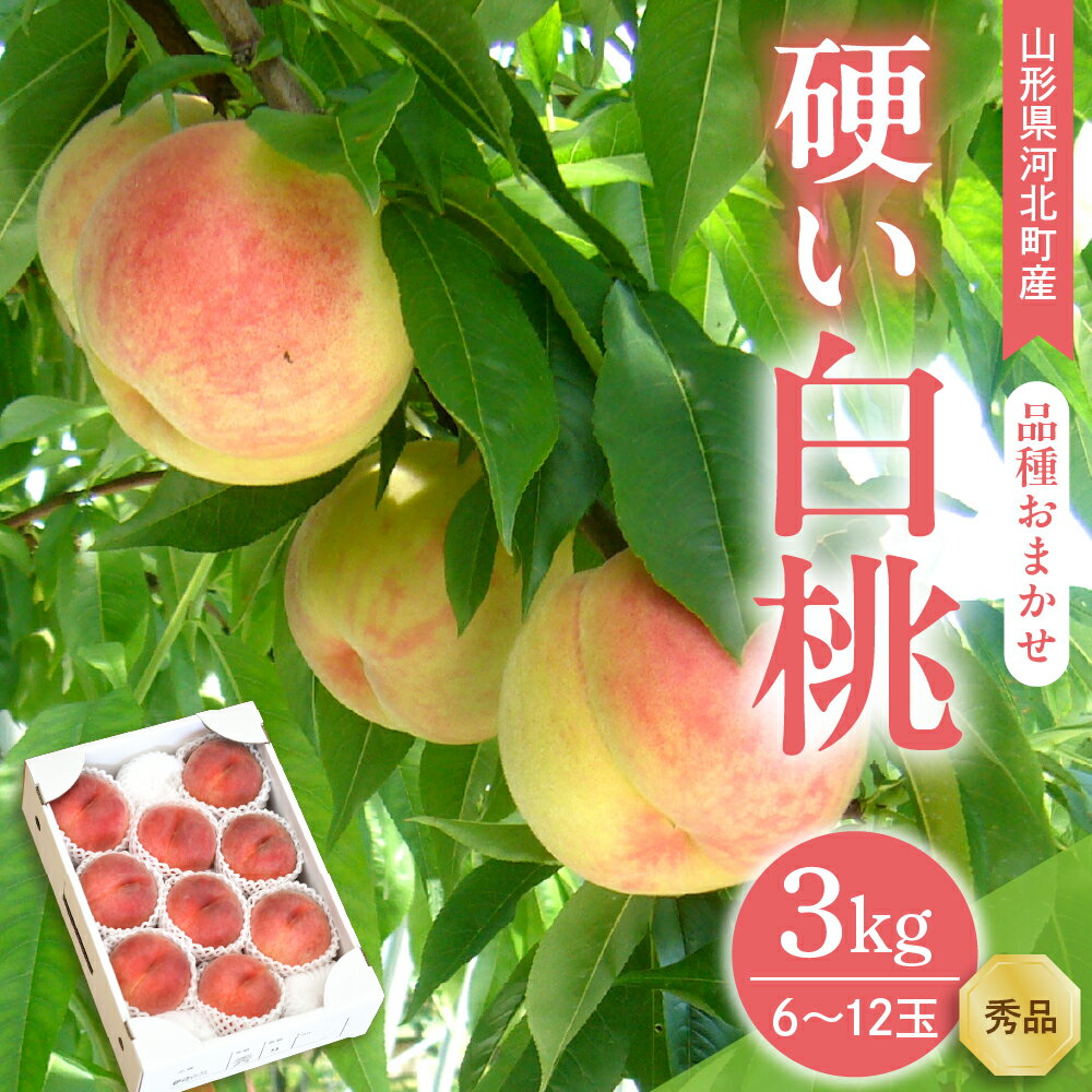 [令和7年産] 硬い白桃 3kg ( 6〜12玉前後 ) ギフト用 品種おまかせ 山形県河北町産[山形eLab]/ 桃 モモ もも フルーツ 果物 くだもの お取り寄せ グルメ 産地直送 山形県 河北町