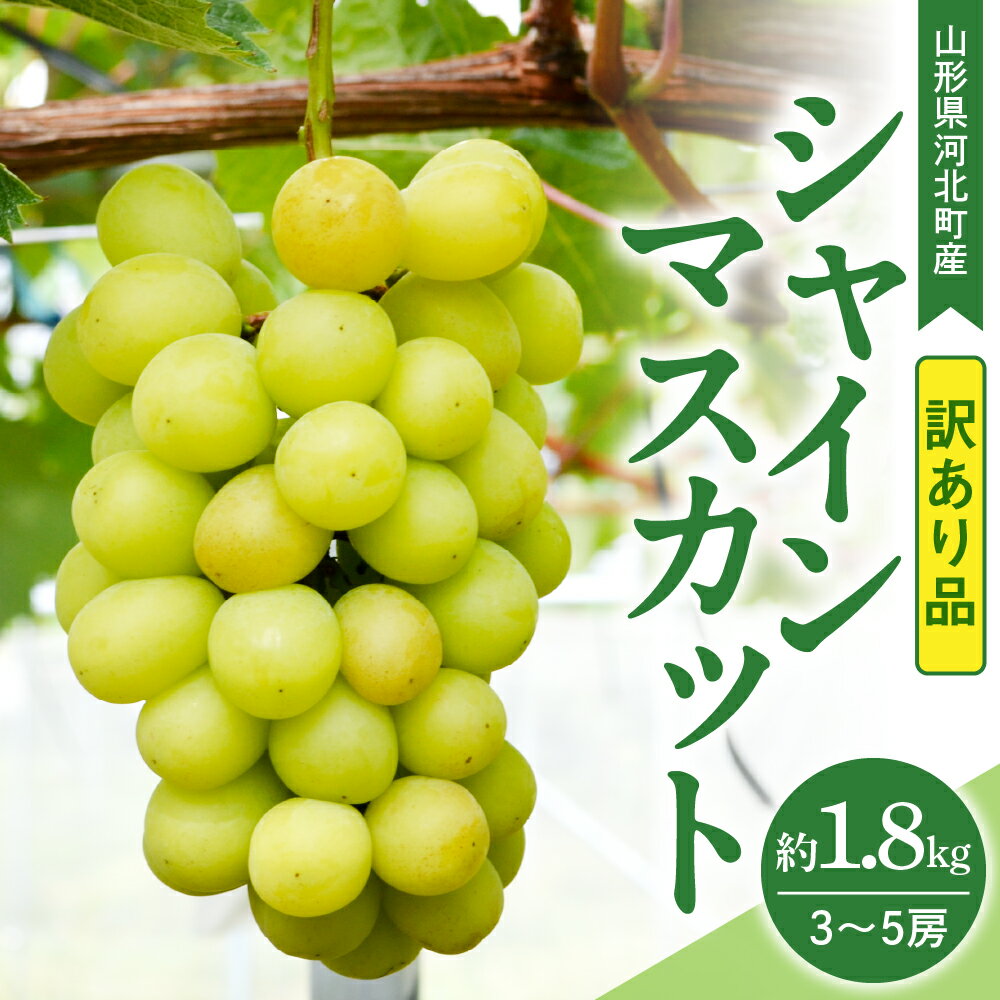 [訳あり 令和7年産] ぶどう シャインマスカット 約1.8kg ( 3〜5房 ) 山形県河北町産[山形eLab]/ 葡萄 ブドウ マスカット フルーツ 果物 くだもの お取り寄せ グルメ 産地直送 山形県 河北町