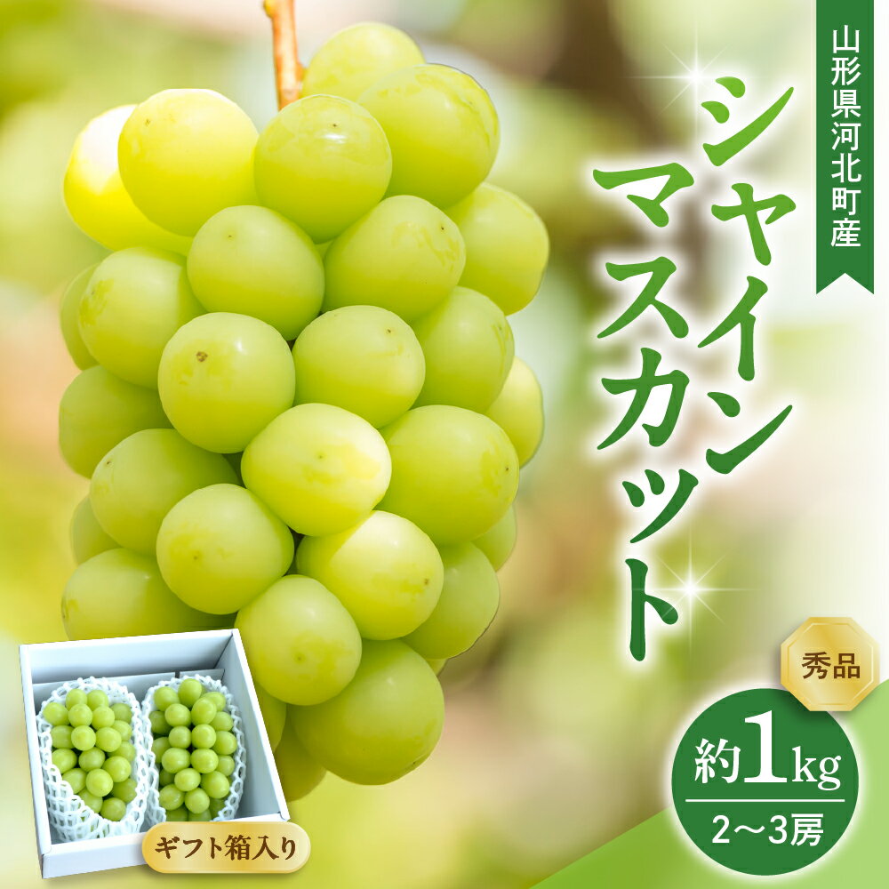 [令和7年産] ぶどう シャインマスカット 2〜3房 約1kg ギフト箱入り 秀品 山形県河北町産 [山形eLab] 葡萄 ブドウ マスカット フルーツ 果物 くだもの お取り寄せ グルメ 産地直送 山形県 河北町