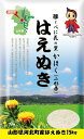 【ふるさと納税】【2020年4月発送分】山形県河北町産はえぬき15kg（5kg×3袋）【JAさがえ西村山】