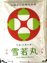 【ふるさと納税】【2020年3月発送】山形県河北町産雪若丸1...