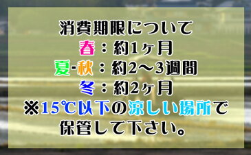 【ふるさと納税】【2021年1月発送分】山形県河北町産はえぬき15kg（5kg×3袋）【米comeかほく協同組合】