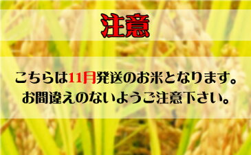 【ふるさと納税】【2020年11月発送分】山形県河北町産はえぬき15kg（5kg×3袋）【河北町米穀集荷組合】