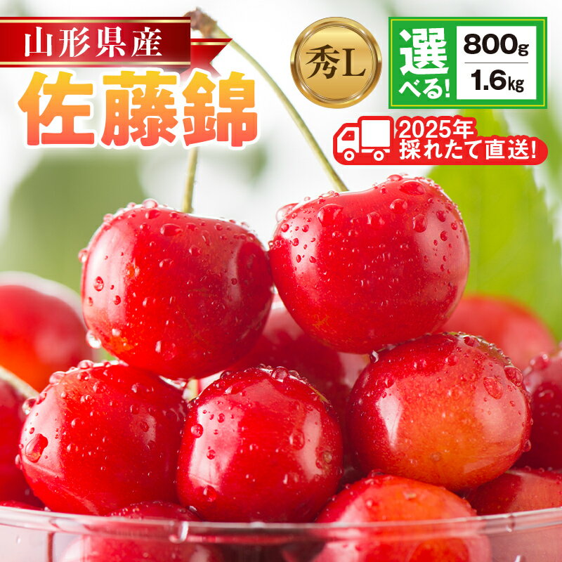【さくらんぼ】ふるさと納税でもらえる山形産などの返礼品のおすすめを教えて！