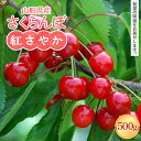 【ふるさと納税】≪2026年先行予約≫山形県産 さくらんぼ 紅さやか 500g M~L バラパック詰め 2026年6月上旬から順次発送 果実 果物 くだもの フルーツ 早生 桜桃 サクランボ 自宅用 家庭用 山形県 西川町 月山 FYN6-051