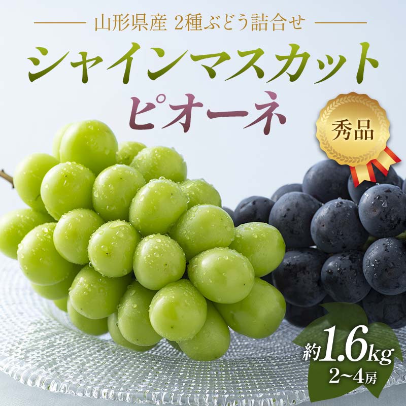 [2025年先行予約]贈答用 山形県産 シャインマスカット ピオーネ 詰合せ 約1.6kg(2〜4房) 秀品 2025年8月下旬から順次発送 葡萄 ブドウ 種無し 夏果実 秋果実 果物 くだもの フルーツ 贈り物 ギフト プレゼント 産地直送 山形県 西川町 月山 FYN6-059