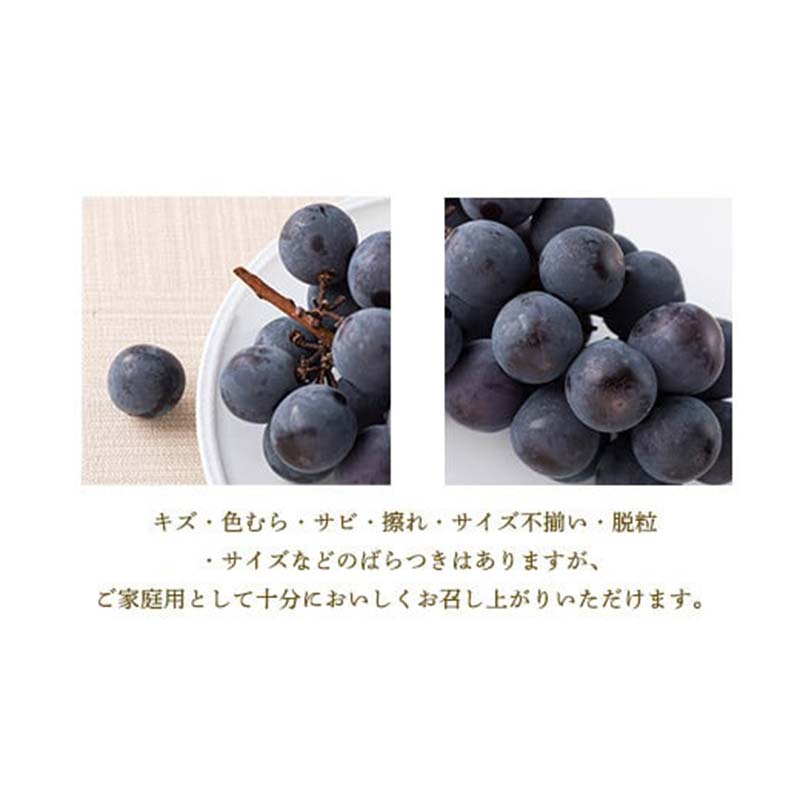 【ふるさと納税】クインニーナ5kg　県内共通返礼品:かすみがうら市産【配送不可地域：離島・沖縄県】 (BR161)