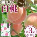 【ふるさと納税】 《2025年先行予約》ご家庭用 山形県産 品種おまかせ 白桃 約3kg(6〜11玉) 2025年8月中旬から順次発送 柔らかくなる桃 はくとう...