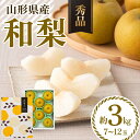 【ふるさと納税】 ≪2025年先行予約≫ 贈答用 山形県産 和梨 約3kg(7〜12玉) 秀品 2025年8月中旬頃から順次発送 幸水 こうすい 豊水 ほうすい...