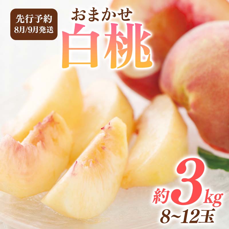 ≪2025年先行予約≫ 山形県産 品種おまかせ 白桃 約3kg(8〜12玉) [選べる配送月 8月/9月] 秀品 桃 もも モモ 果物 くだもの 夏果実 フルーツ 産地直送 山形県 西川町 月山 FYN6-115var