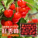 【ふるさと納税】 山形県産 さくらんぼ 紅秀峰 500g 秀 2L バラ詰め 2025年6月下旬頃から順次発送 初夏 果物 くだもの フルーツ 贈り物 ギフト ...