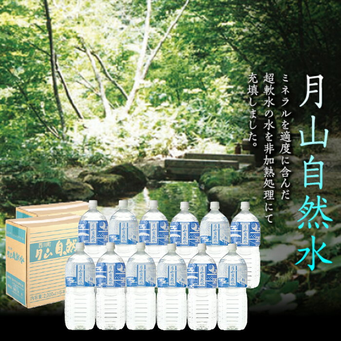 【ふるさと納税】月山自然水2L×6本×2箱 天然水 国産 備