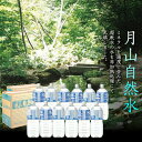 【ふるさと納税】月山自然水2L×6本×2箱 天然水 国産 備蓄 防災 保存 ペットボトル ナチュラル 山形県 西川町 FYN9-015