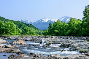 【ふるさと納税】 紙屋 作左ヱ門 月山和紙 小物入れ（エンボス／黒・赤）2個セット 山形県 西川町 FYN9-056